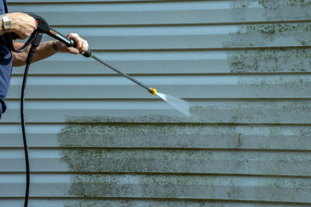 Best Roof Pressure Washing  in Maan, ND