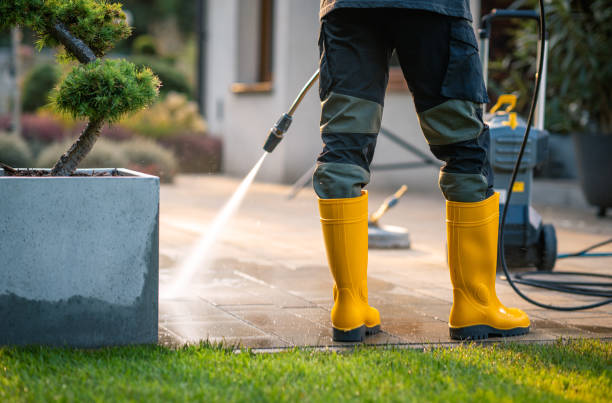 Best Pressure Washing Near Me  in Maan, ND